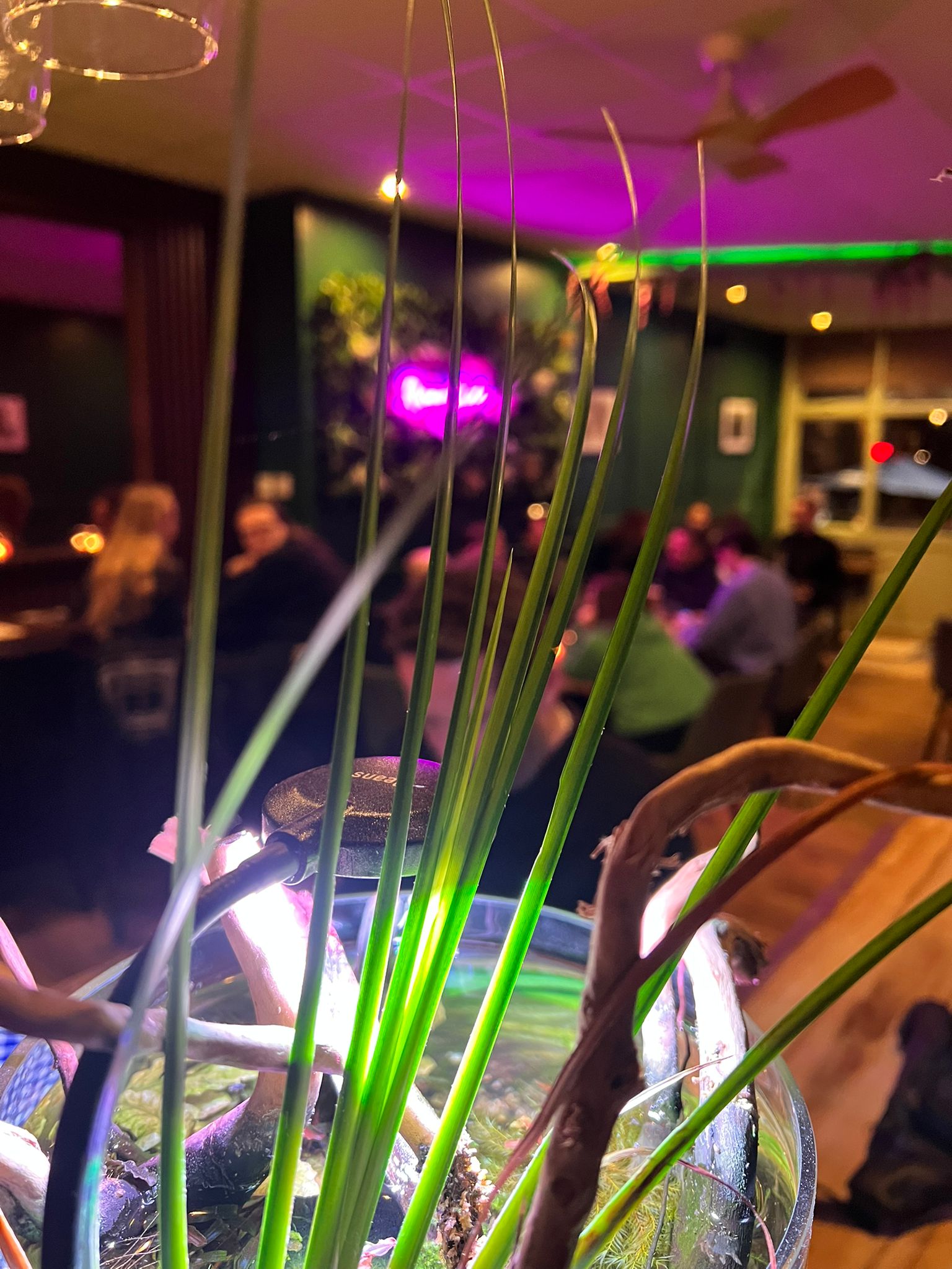 WhatsApp Image 2026 01 21 at 15.22.45