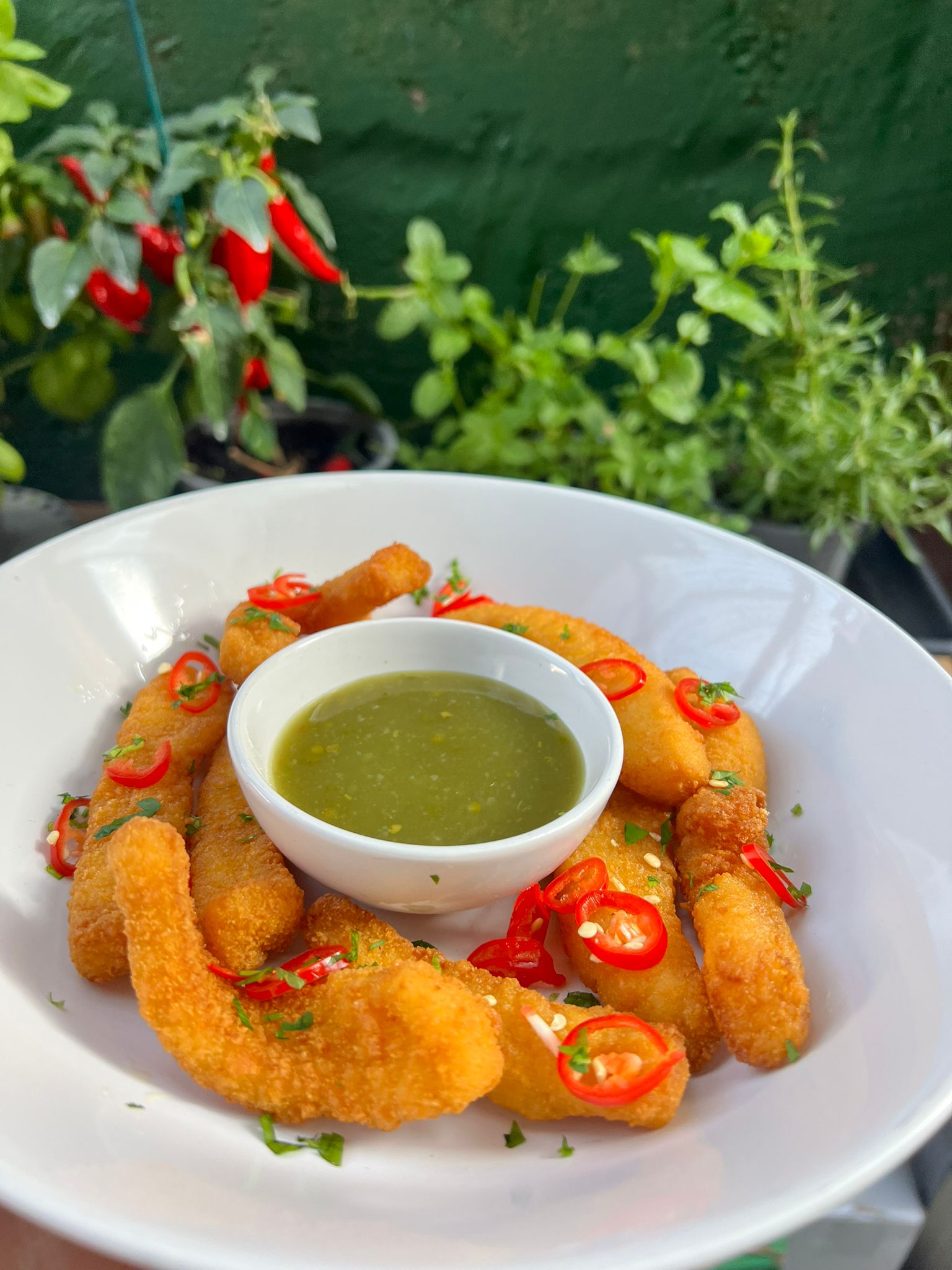 WhatsApp Image 2026 01 21 at 15.26.43